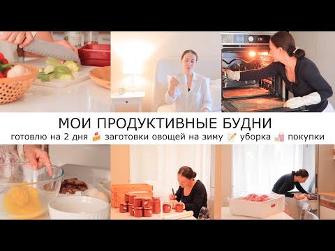 Видео: СУПЕР МОТИВАЦИЯ 🏡ВКУСНО ГОТОВИМ🥗ПОКУПКИ ДЛЯ ДОМА🛍️ЗАГОТОВКИ ОВОЩЕЙ НА ЗИМУ🍅🧅МОТИВАЦИЯ