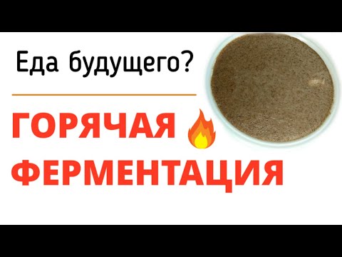 Видео: Ферментирую каши горячим способом. ГОРЯЧАЯ ФЕРМЕНТАЦИЯ от А до Я.