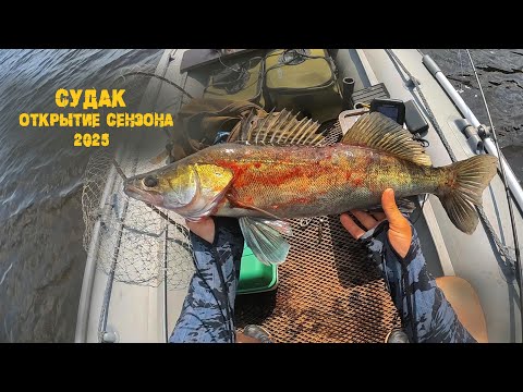 Видео: Заглянул к судакам, два дня наедине с природой,  р.Кама