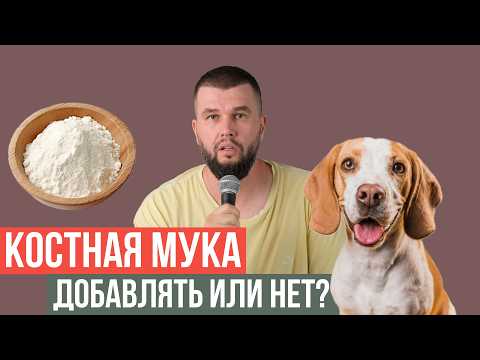 Видео: Костная мука в рационе собак