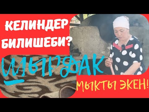 Видео: ШААРДЫК КЕЛИНДЕР ҮЙРӨНҮП АЛГЫЛА!