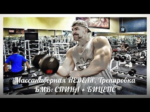 Видео: Массанаборная НЕДЕЛЯ. Тренировка БМВ: СПИНА + БИЦЕПС