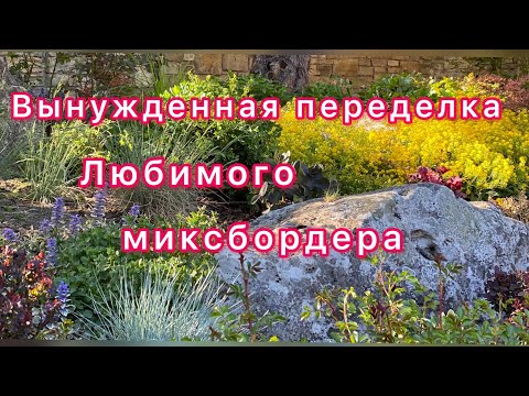Видео: Клумба,горка,миксбордер-пересадка/переделка