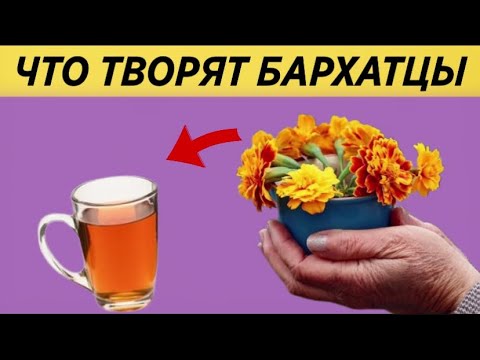 Видео: Вот что творят БАРХАТЦЫ с организмом! 90% людей НЕ ЗНАЮТ об Этом...