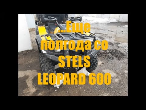 Видео: Еще полгода на STELS LEOPARD 600, по лесам и болотам