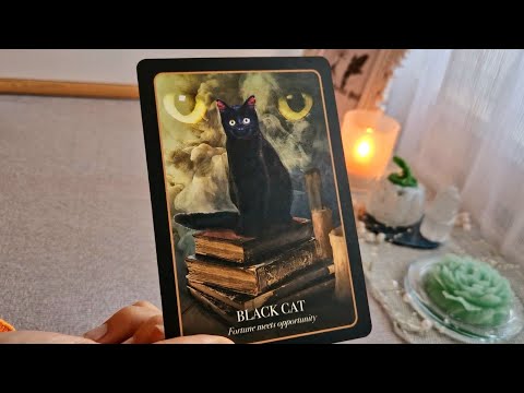 Видео: 🔮🐈‍⬛🌠Изненадващо и магично - каква енерия идва към вас, до края на годината?🌠🐈‍⬛🔮