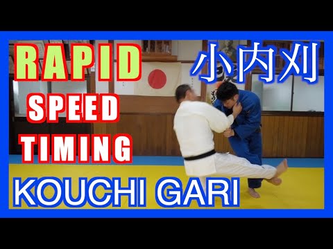 Видео: Ко учи Гари, истребитель великанов