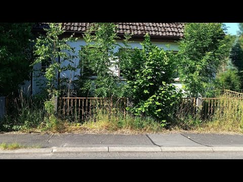 Видео: Купить дом в Германии недорого, дешёвые дома в Германии, флиппинг в Германии, судебные аукционы в Ге