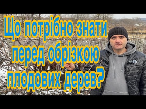 Видео: Що потрібно знати перед обрізкою плодових дерев? Важливо знати перед обрізкою.