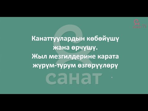 Видео: Зоология 7 класс 25 сабак