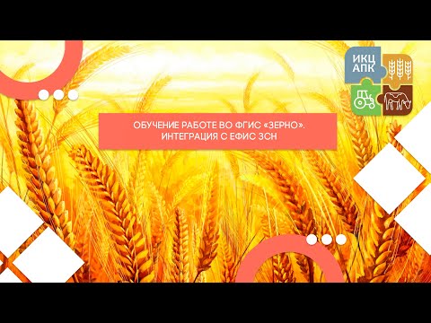 Видео: Запись семинара  от 19 октября 2023 года