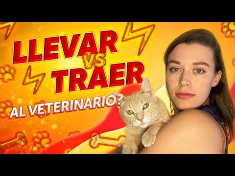 Видео: Как не путать LLEVAR vs TRAER? / Испанский для начинающих