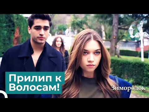 Видео: Известна Настоящая Невеста Этого Особняка | Зимородок