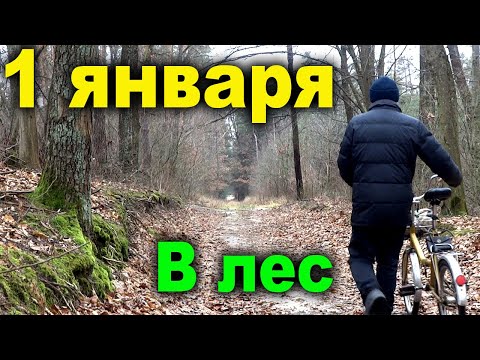 Видео: Открыл Туристический Сезон! 1 января в Лес на Велосипеде