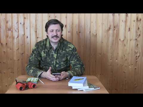 Видео: Собираемся наблюдать птиц