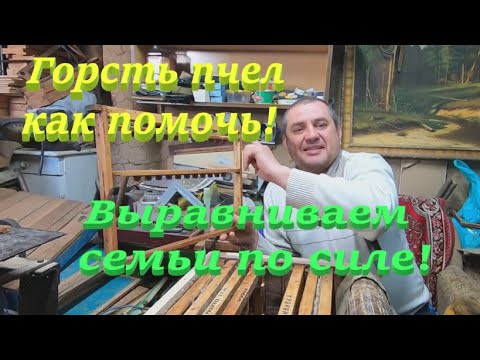 Видео: Горсть пчёл и матка КАК ПОМОЧЬ сделать хорошую семью! #2 Выравниваю силу, правильные действия!