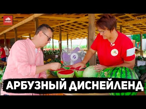 Видео: Арбузный Диснейленд | 14+