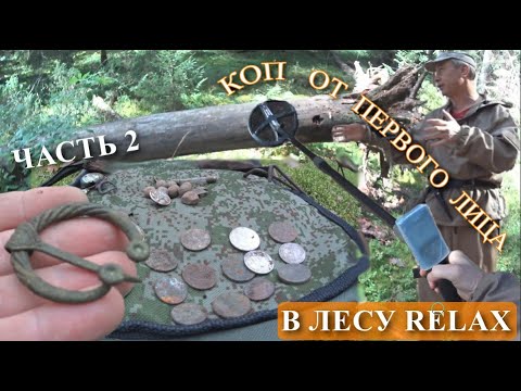Видео: В ЛЕСУ RELAX / Бродилка по лесу / По местам туристов / часть 2