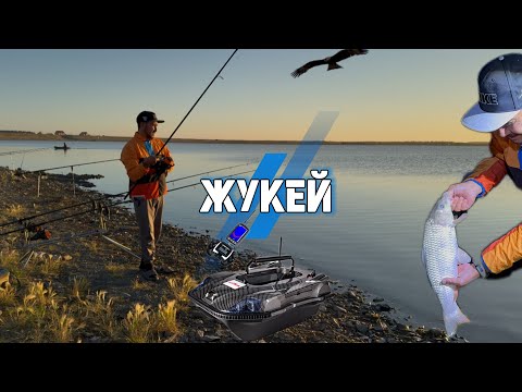 Видео: ОЗЕРО ЖУКЕЙ, РЫБАЛКА НА КАРПА И СХОД ТРОФЕЯ!