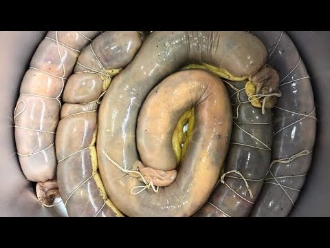 Видео: ЧУЧУК(КАЗЫ) КАК ДЕЛАЮТ В КЫРГЫЗСТАНЕ