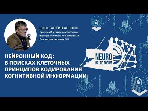 Видео: Нейронный код. Константин Анохин