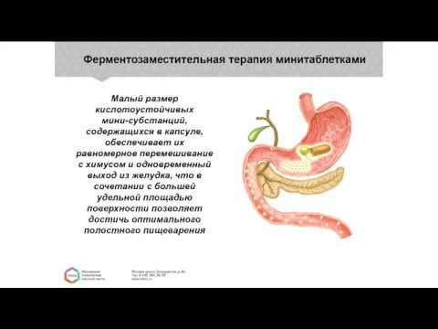 Видео: Клинические проявления, диагностика и коррекция нарушений функции поджелудочной железы