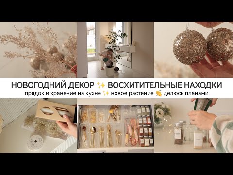 Видео: НОВОГОДНИЙ ДЕКОР✨ВОСХИТИТЕЛЬНЫЕ НАХОДКИ | УБОРКА НА КУХНЕ: красивое хранение / порядок / эстетика