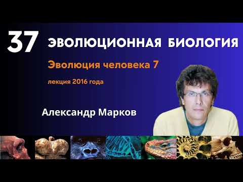 Видео: Мозг и социальность
