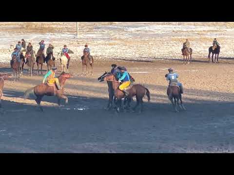 Видео: 05.01.2023-ж Осмонкулов & Жергетал + буллит
