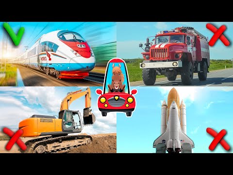 Видео: Транспорт для детей. Мультик про машинки. Развивающее видео для малышей