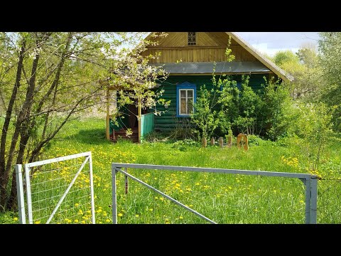 Видео: Арзон Уй 210.000 руб. 2.400$ Ери 50 сотих 40²м. Псков обл. деревня Собольки