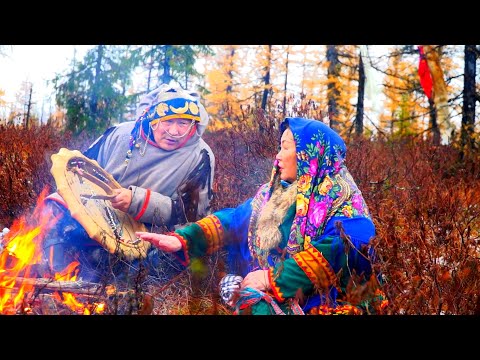 Видео: Лечение ненцев. Народная медицина Севера