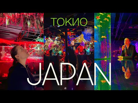 Видео: Старый японец увязался на улице в Токио и … 🫣 Япония влог 🇯🇵