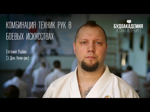 Видео: Комбинация техник  рук в боевых искусствах. Евгений Рыбин