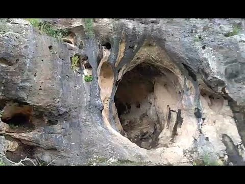 Видео: Неандертальцы, сапиенсы и хабилисы: прямые включения из Израиля