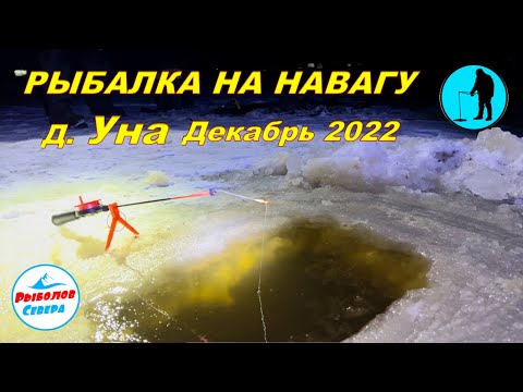 Видео: ✅ НАВАГА В УНСКОЙ ГУБЕ 🎣🐟🐟🐟Декабрь 2022 #Рыболов_Севера