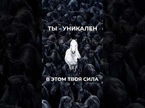 Видео: ЗАПОМНИ ЭТО! #shorts #счастье #мотивация