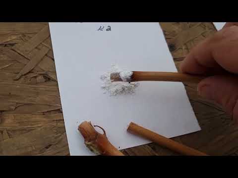 Видео: Простой тест по стимуляторам/укоренителям черенка винограда в домашних условиях.