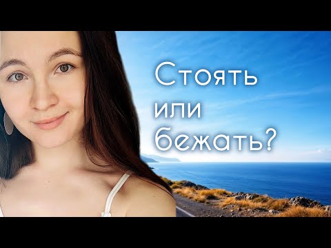 Видео: Стоять или бежать? Когда лучше остановиться, а когда действовать?