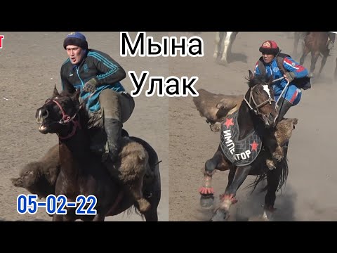 Видео: Аламан Улак/ Бишкек(05-02-22)
