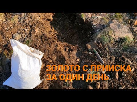 Видео: ЗОЛОТО С ПРИИСКА ЗА ОДИН ДЕНЬ