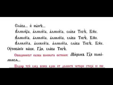 Видео: Св. 33 мчци в Мелитин, преп. Лазар Галисийски, св. Литургия, 07.11.25