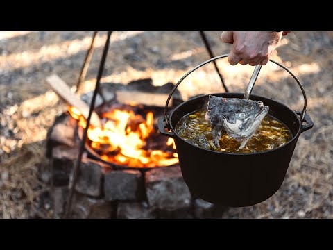 Видео: УХА чи РИБНА ЮШКА рецепт на природі! Як приготувати рибну юшку ЗАВЖДИ СМАЧНО?