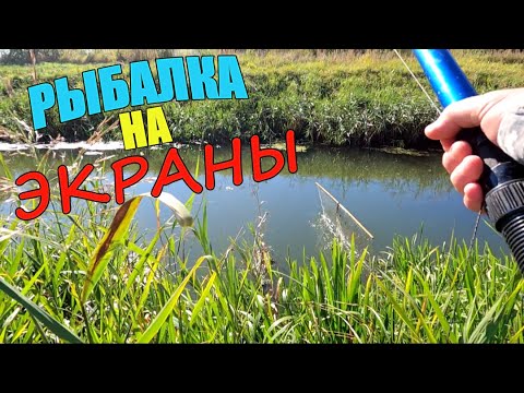 Видео: Что поймаю за два дня рыбалки на ЭКРАНЫ?