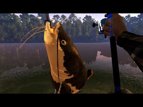 Видео: Fishing Planet. Боливия. Сомы реки Маррон