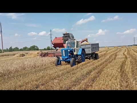 Видео: Жнива Нива СК5,Турбо ЮМЗ