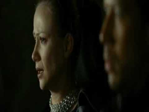 Видео: Face2Face-кошка