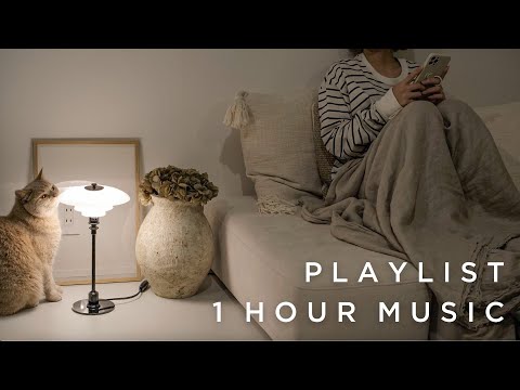 Видео: [Playlist]Песни для отдыха ночью｜Лучшие песни для расслабления