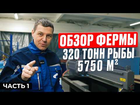 Видео: Строим ИДЕАЛЬНУЮ УЗВ с нуля из СТАРОГО ЦЕХА / Сколько вложил в помещение и как быстро оно окупится?