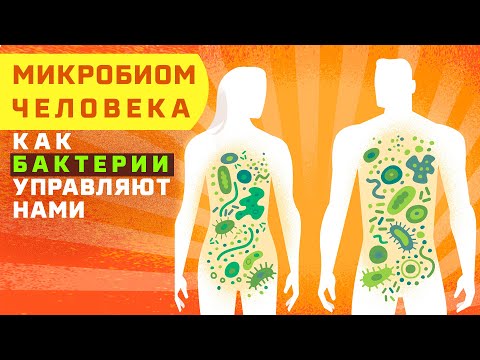 Видео: Микробиом человека - что это такое? Как бактерии управляют нами?| Микрофлора кишечника| Да Но